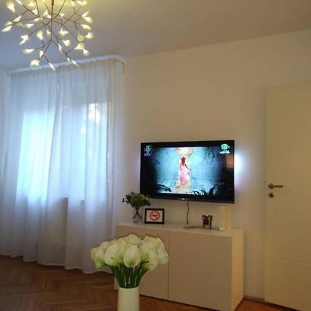 Art & Design Apt - City Center Timisoara Luaran gambar