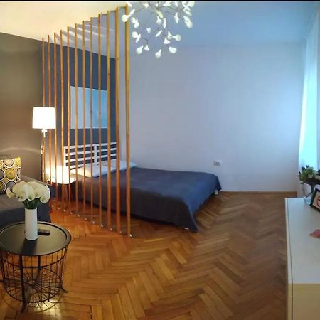 Art & Design Apt - City Center Timisoara Luaran gambar