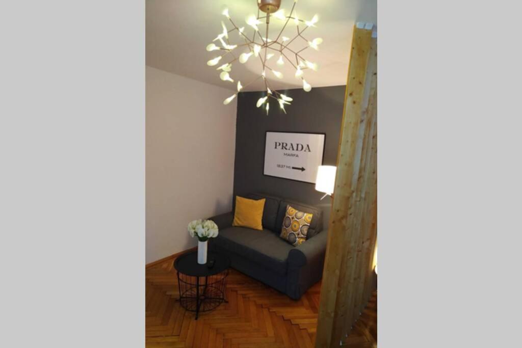 Art & Design Apt - City Center Timisoara Luaran gambar