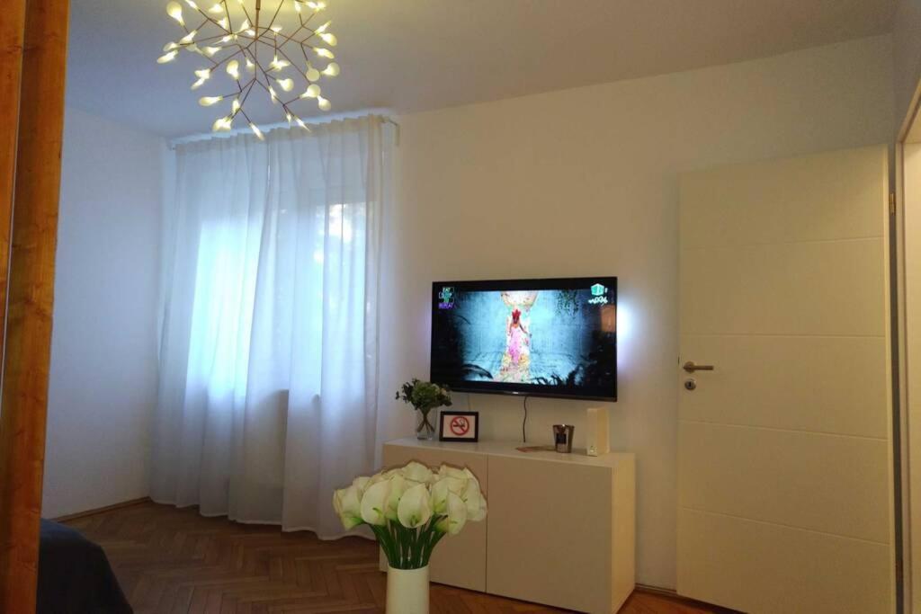 Art & Design Apt - City Center Timisoara Luaran gambar